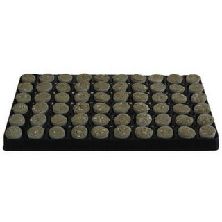 Steinwolle Stecklingstray Paperbus 34mm 84 Stück pro Tray | Stecklinge / Keimung